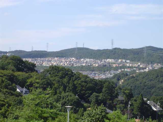 ���{�s�@�i�q���{�����w�@�������@��薼���@�������@��]��