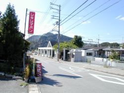 ���{�s�@�i�q�@�����w�O