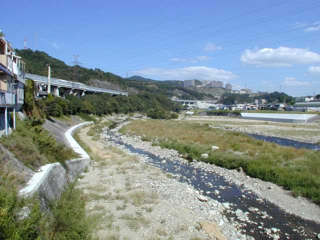 ���{�s�@�i�q�����w�@���ɐ�A��ˎs����]��