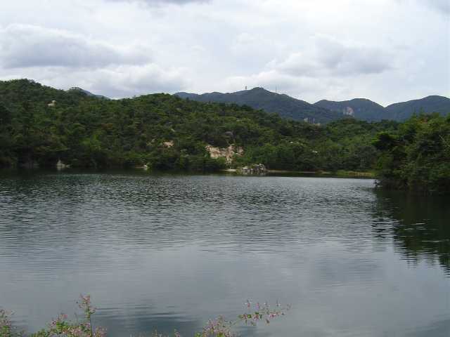 ���{�s�@��}�m��w�@�m�� �܃��r