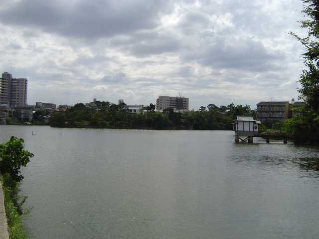 ��ˎs�@��}�m��w�@�ٓV�r����}�m��w�t�߂�]��