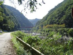 ��ˎs�@�i�q�@���c���@�w���ʂ�]��